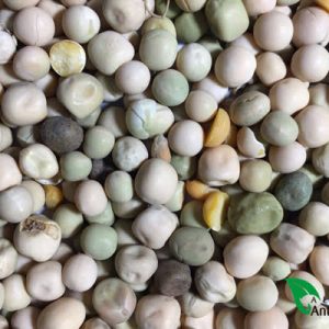 Guisantes
